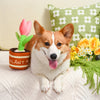 Puppy Garden Tulip 2 in 1 Plush Squeaky Dog Toy Set