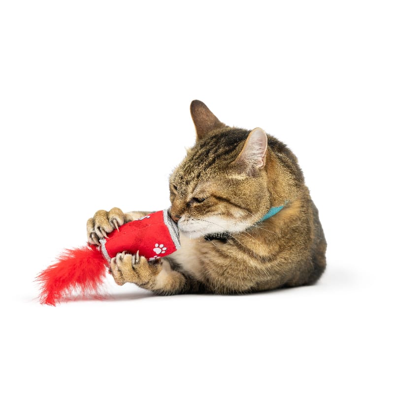 Huxley & Kent Cat Toys Lil' Pooper Cat Toy