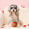 Hugsmart Products Inc dog toys Woof Love Strawberry Chocolate Dipped Ball Plush Dog Toy