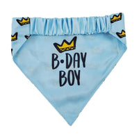 Barker's Bowtique Bandanas Birthday Boy Two-Sided Dog Bandana