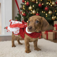Christmas Candy Cane Bling Holiday Dog Harness Dress with Matching Leash