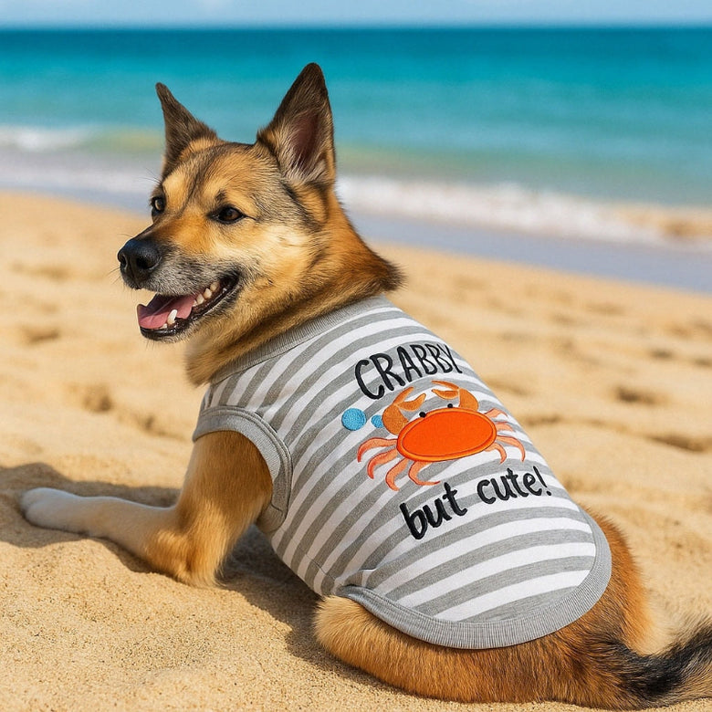 Crabby But Cute Grey Striped Embroidered Summer Dog Tee