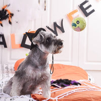 Hugsmart Products Inc dog toys Howloween Night Zombie Ball Dog Toy