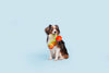 BARK dog toys Hairloom Tomatoes Plush Squeak Rope Tug Dog Toy