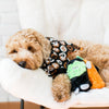 Halloween Squeakie Buddies Plush Dog Toy Set - 3 Pc