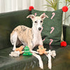 Hugsmart Products Inc Hugsmart Products Inc - HugSmart Pet - Happy Woofmas | Holiday Gingerbread Man