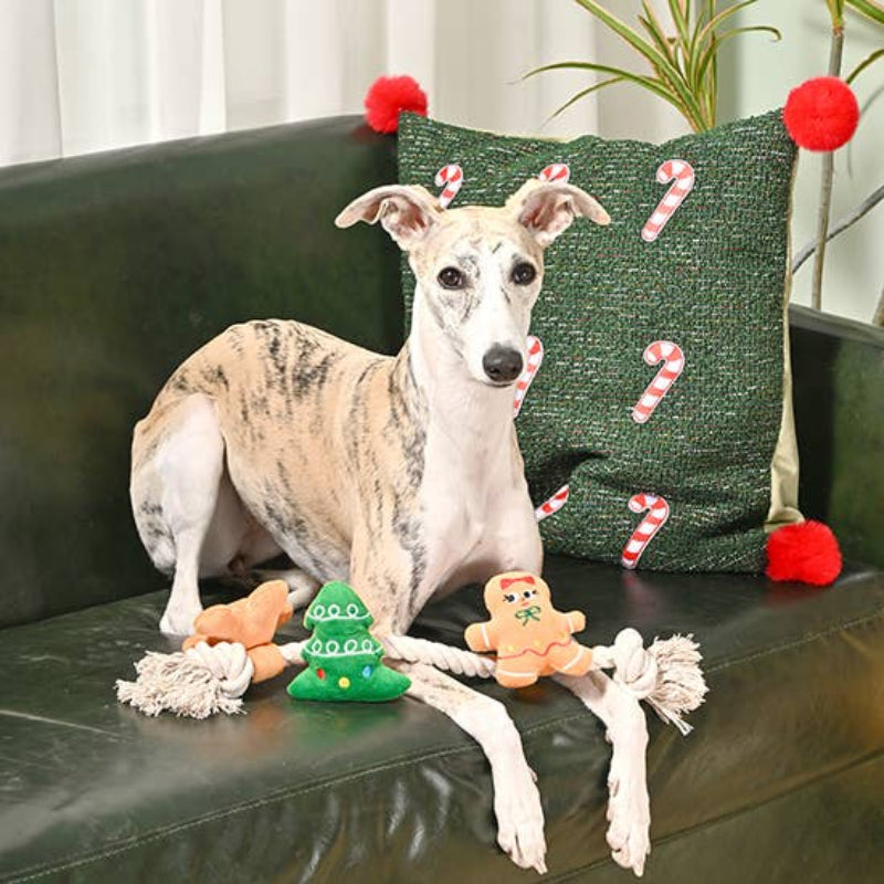 Hugsmart Products Inc Hugsmart Products Inc - HugSmart Pet - Happy Woofmas | Holiday Gingerbread Man