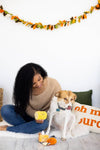 Pearhead, Inc. dog toys Thanksgiving Dinner Turkey Leg, Corn Cob, and Pie Plush Squeak Dog Toy Set - 3 Pc