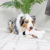 Snowman Bone Winter Christmas Holiday Plush Squeaky Dog Toy