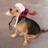 Buffalo Red Check Antler Holiday Warm Pet Hat with Snugfit