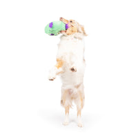 Zombie Pop 'n Fetch Pop-Eye Spooky Halloween Plush Squeaky Dog Toy
