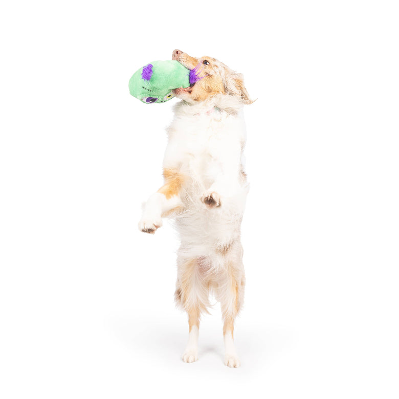 Zombie Pop 'n Fetch Pop-Eye Spooky Halloween Plush Squeaky Dog Toy
