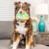 Huxley & Kent Toys Shamrock Donut Dog Toy