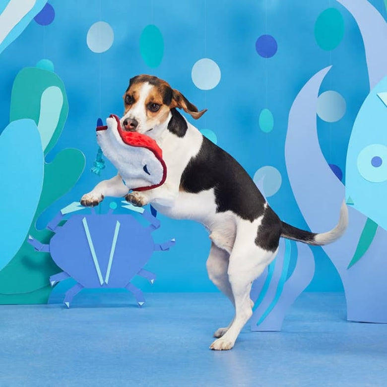 BARK dog toys Sting Crosby the Ray Red Plush Squeaky Rope Dog Toy