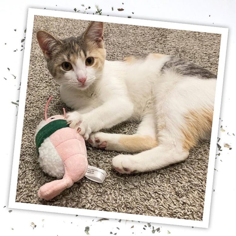 Meowijuana Cat Toys Meowijuana Get Wrapped Sushi Roll Cat Toy
