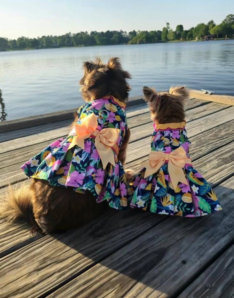 Doggie Design Dresses Fiesta Floral Dog Harness Dress with Matching Leash