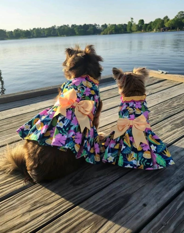 Doggie Design Dresses Fiesta Floral Dog Harness Dress with Matching Leash