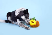 BARK dog toys Super Chewer Fowl Play Rooster Interactive Plush Rubber Treat Dog Chew Toy