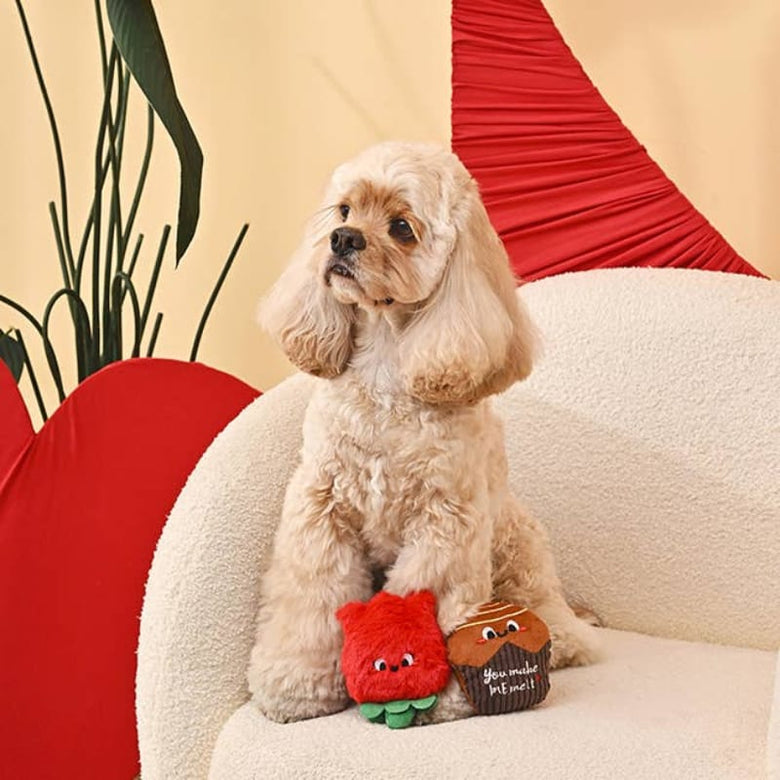 Hugsmart Products Inc Dog Toys Woof Love Chocolate & Rose Plush Squeak Dog Toy Set - 2 Pc