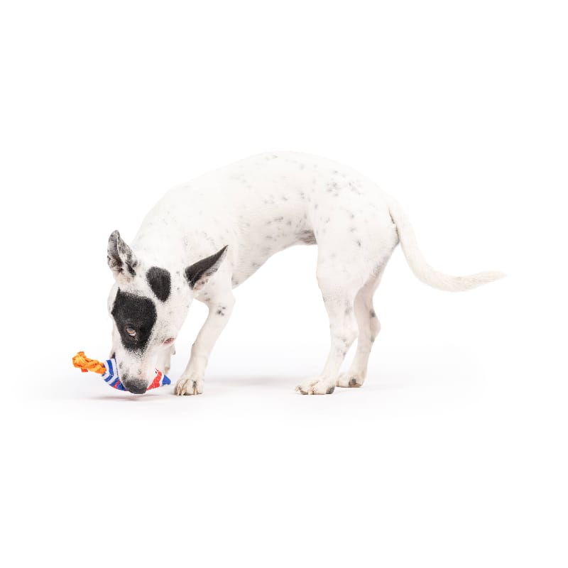 Huxley & Kent Dog Toys Tiny Tuff Rocket Man Plush Squeak Dog Toy