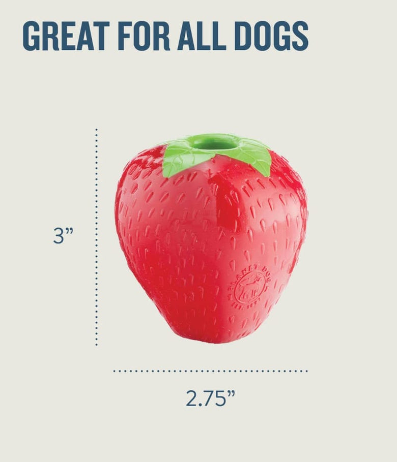 Outward Hound dog toys Planet Dog Orbee Tuff Strawberry Treat-Dispensing Dog Chew Toy