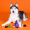 PetShop by Fringe Studio dog toys Halloween Literally Dead Cute Rope Tug Plush Squeak Dog Toy Set