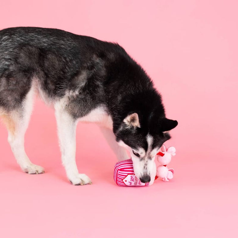 Petshop by Fringe Studio dog toys My Heart Pops For You Pink Plush Squeak Dog Toy