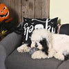 Howloween Night Witches Brew Ball Squeaky Dog Toy