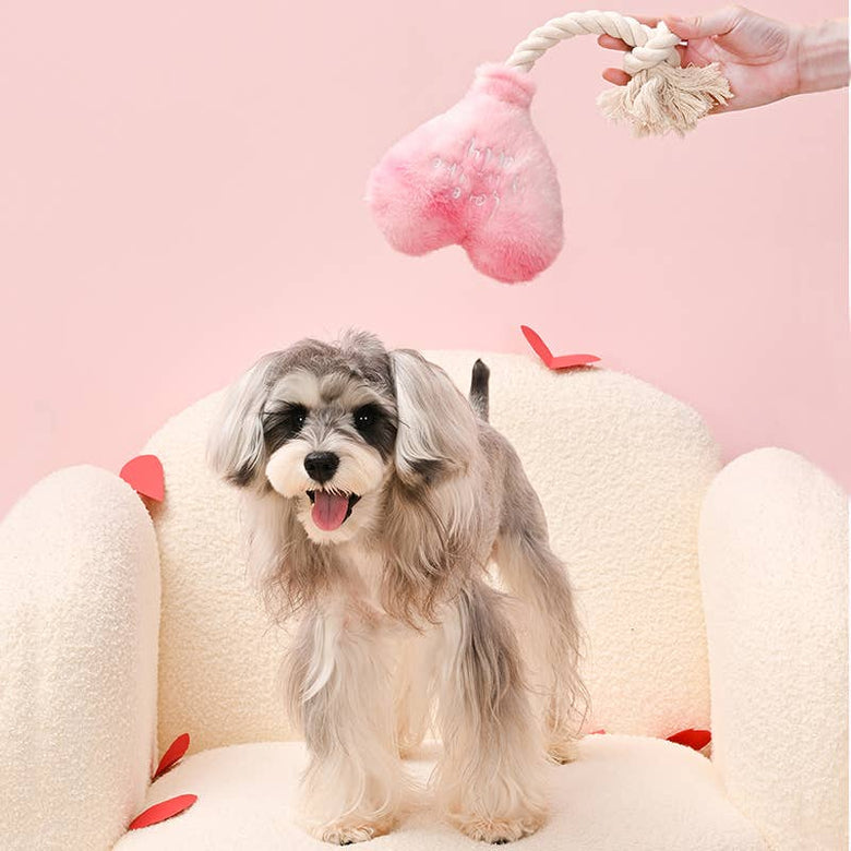 Hugsmart Products Inc dog toys Love is in the air Pink Heart Rope Tug Plush Squeak Dog Toy
