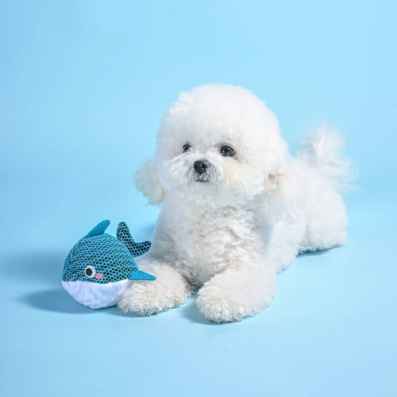 Hugsmart Products Inc dog toys Ocean Pals Blue Dolphin Ball Dog Toy