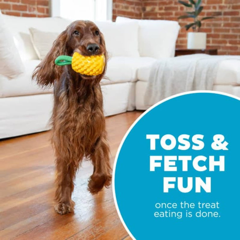 Outward Hound dog toys Dental Yellow Pineapple Interactive Rope Tug and Treat Dog Chew Toy