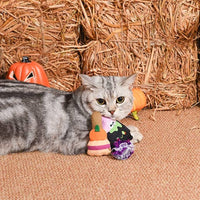 Hugsmart Products Inc dog toys Spooky Cats Witch's Brew Cat Toy Set - 3 Pc