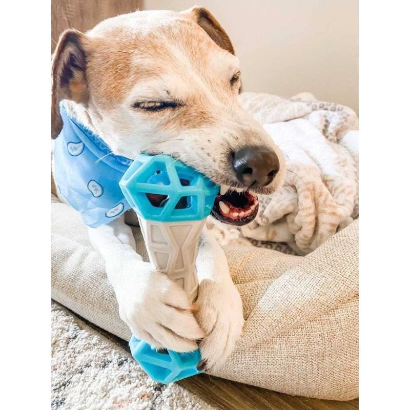 Totally Pooched dog toys Flex n' Squeak Grey/Teal Rubber Dog Toy