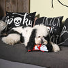 Hugsmart Products Inc Hugsmart Products Inc - HugSmart Pet - Howloween Night | Dracula - Dog Plush Toy
