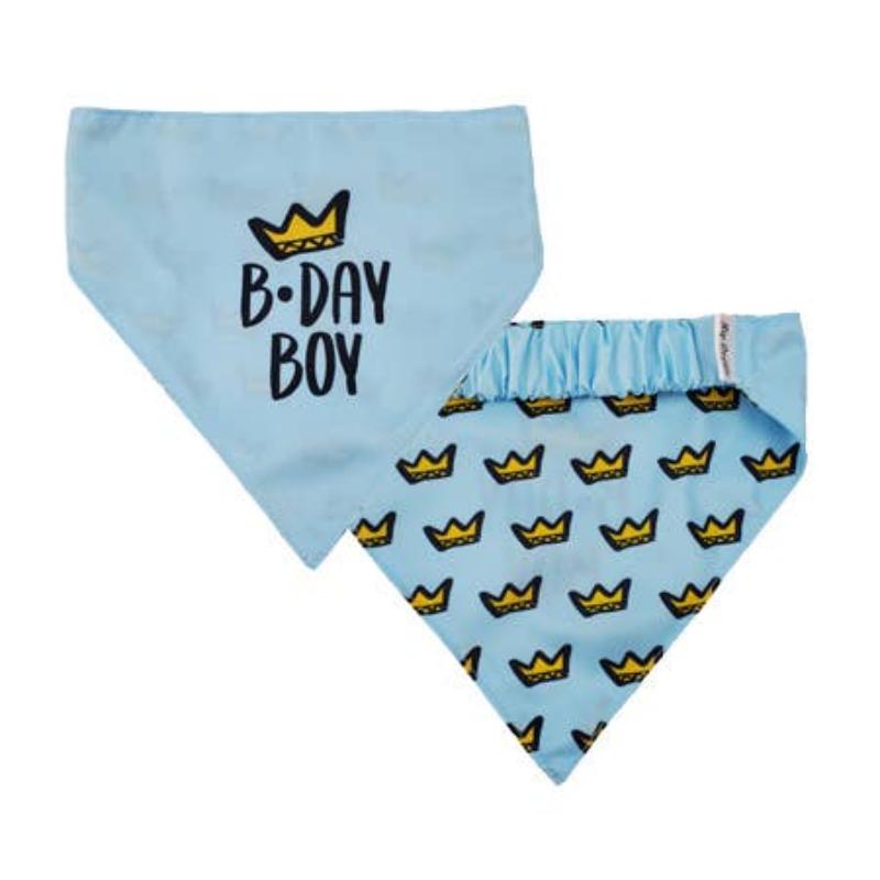 Barker's Bowtique Bandanas XS Birthday Boy Two-Sided Dog Bandana