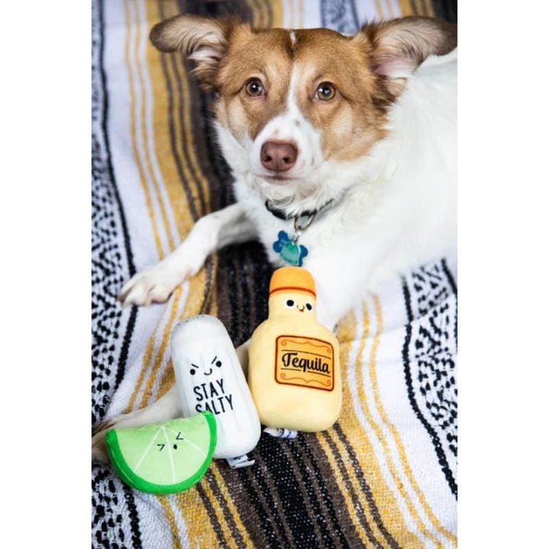 Pearhead, Inc. dog toys Turnt Pup Plush Dog Toys Set- 3 Pc