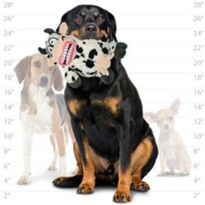 VIP Products/Tuffy dog toys Jr Mighty Angry Animal Series Cow Durable Tough Dog Toy - Jr Size