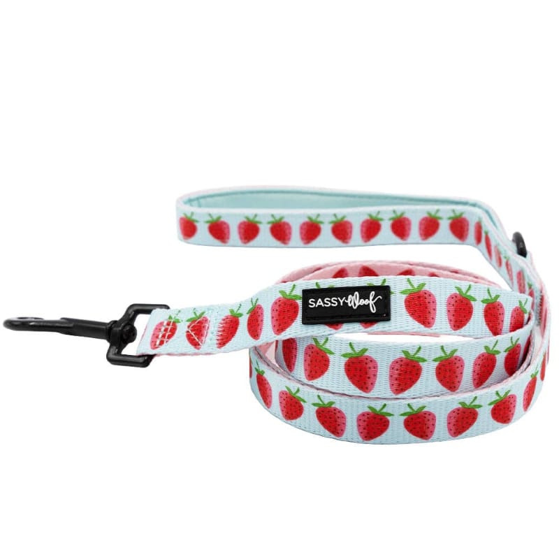SASSY WOOF Leashes I Woof You Berry Much (Fruits) Light Blue & Pink Dog Leash