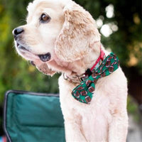 Huxley & Kent Bow Tie Football Green Dog Bow Tie
