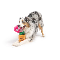 Huxley & Kent Huxley & Kent - Seek 'n Treat Rosie Pawt Dog Toy: Small