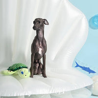 Hugsmart Products Inc Hugsmart Products Inc - HugSmart Pet - Ocean Pals  | Sea Turtle - Dog Rope Toy