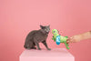 Pet Shop by Fringe Studio Cat Toys Hop On By Kicker Green Cat Toy