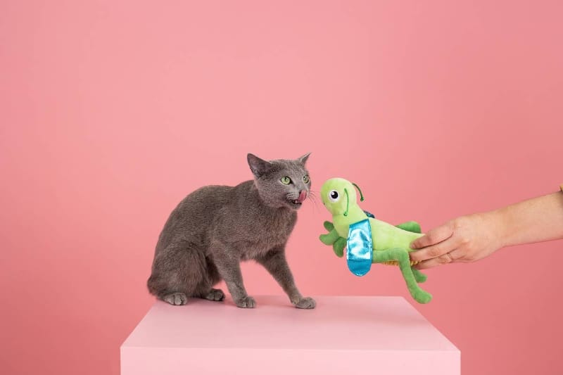 Pet Shop by Fringe Studio Cat Toys Hop On By Kicker Green Cat Toy