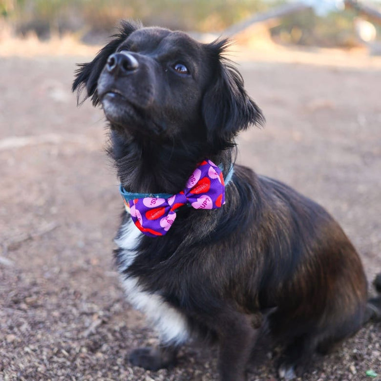 Huxley & Kent Bow Ties Convo Hearts Bow Tie Pet Collar Attachment - 3 Sizes