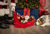 Huxley & Kent Dog Toys Slappies Ralphie Beaver Holiday Plush Squeak Dog Toy - 2 Sizes