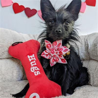 Huxley & Kent dog toys Hugs & Kisses Bone Plush Squeak Dog Toy (Double Sided) - 2 Sizes