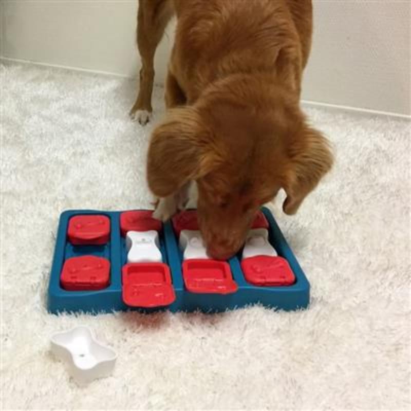Outward Hound dog toys Dog Brick Flip, Side & Treat Blue Level 2 Interactive Dog Toy