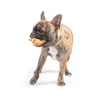 Tiny Tuff Ginger Snapped Christmas Holiday Plush Squeaky Dog Toy