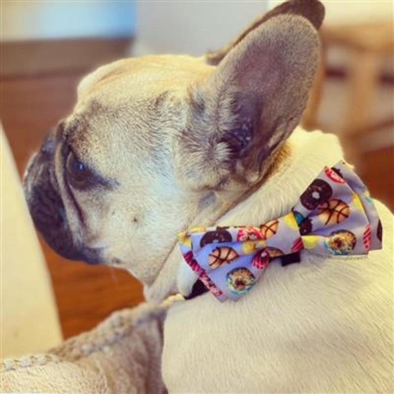 Huxley & Kent Bow Tie Donut Lovers Purple Pet Bow Tie - Size XL