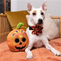 Huxley & Kent dog toys Sugar Skull Pumpkin Plush Squeak Dog Toy